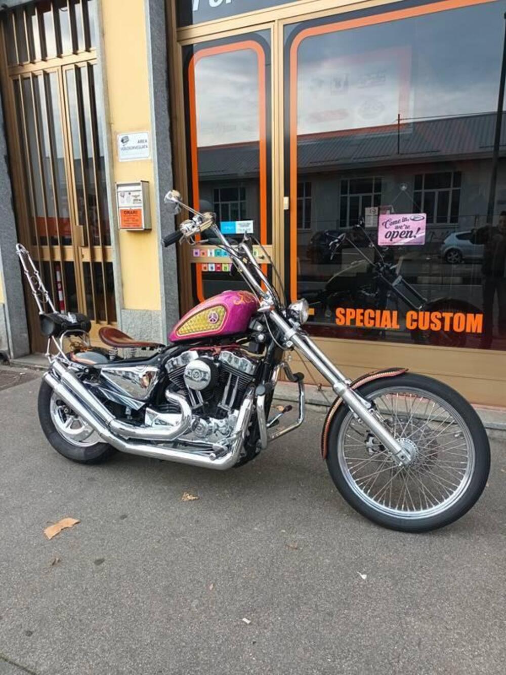 Harley-Davidson 883 Low (2005) - XL 883L (13)