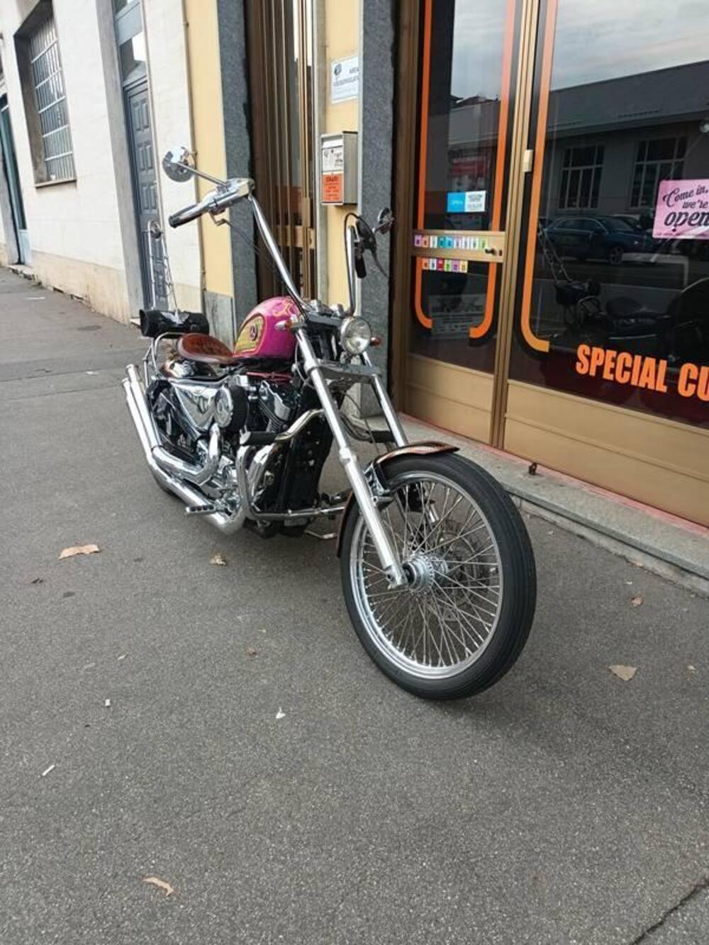 Harley-Davidson 883 Low (2005) - XL 883L (14)