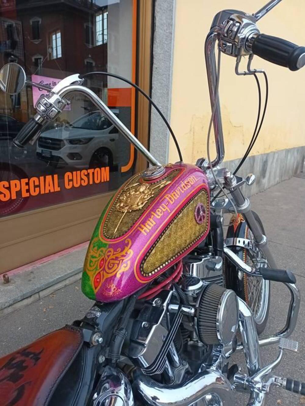 Harley-Davidson 883 Low (2005) - XL 883L (16)