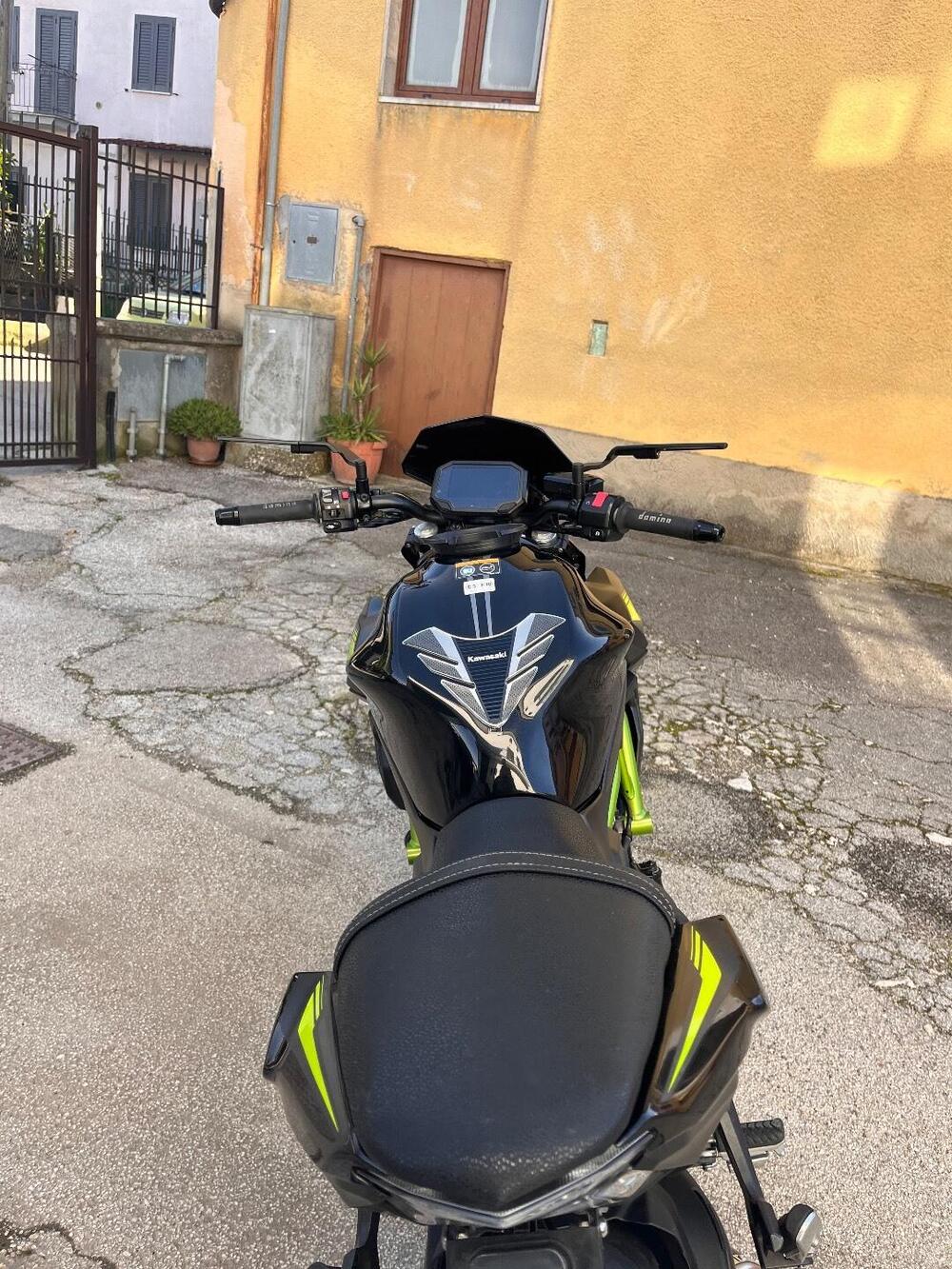 Kawasaki Z 650 (2021 - 24) (9)