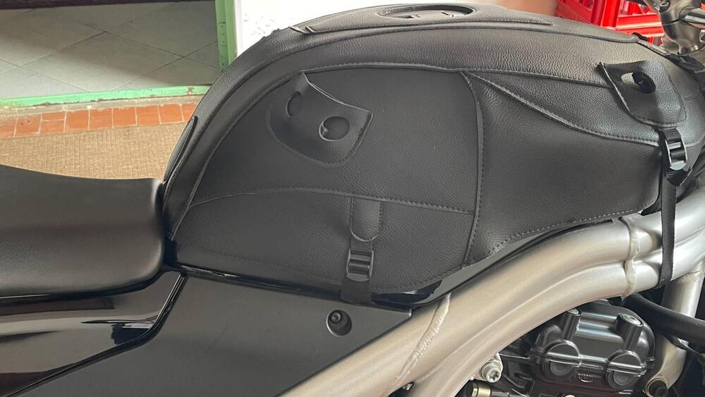 Triumph Speed Triple 955 (2002 - 04) (4)