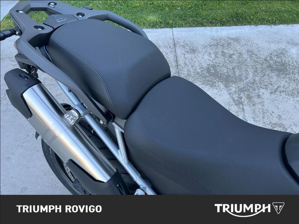Triumph Tiger 1200 GT Pro (2024 - 26) (3)