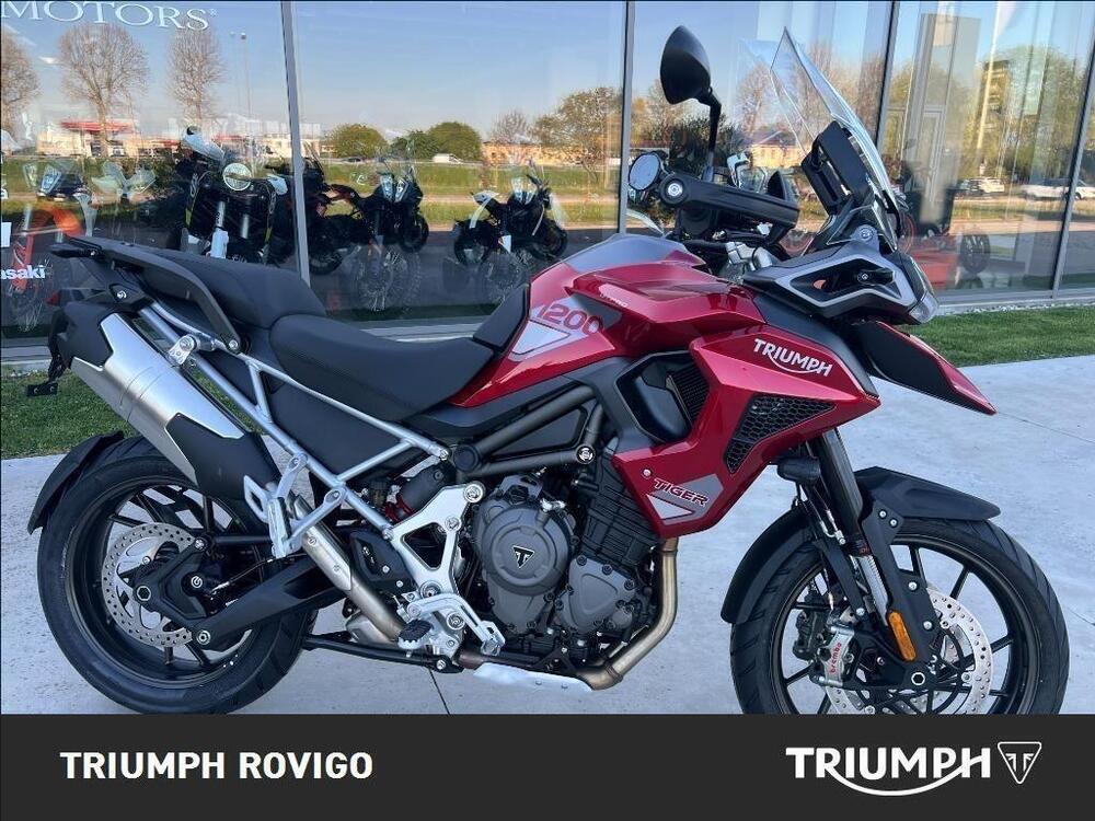 Triumph Tiger 1200 GT Pro (2024 - 26) (6)