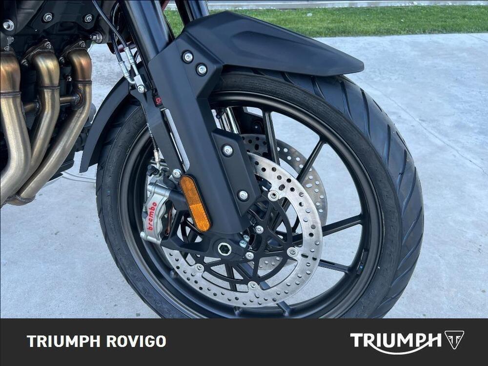 Triumph Tiger 1200 GT Pro (2024 - 26) (8)