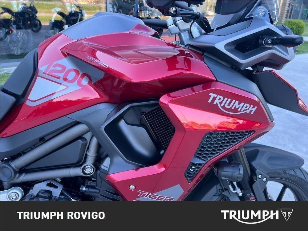 Triumph Tiger 1200 GT Pro (2024 - 26) (9)
