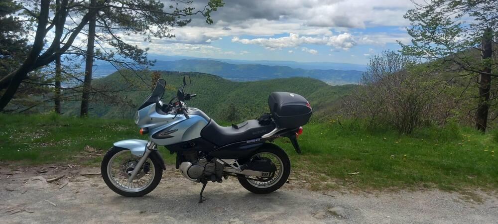 Suzuki XF 650 Freewind (1997 - 03) (6)