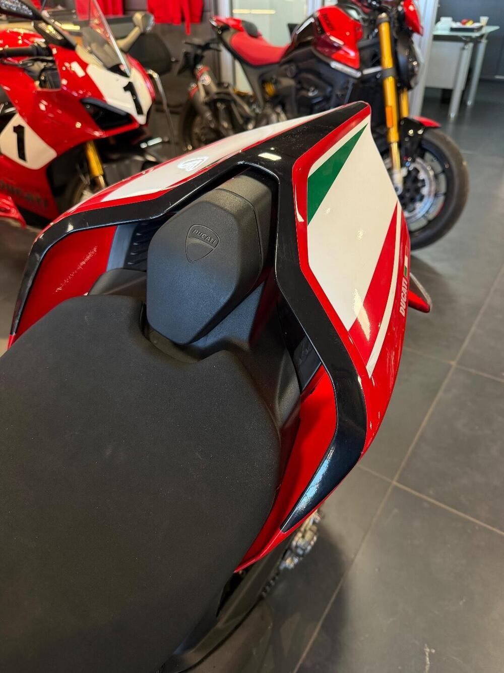 Ducati Panigale V4 S 1100 (2018 - 19) (6)