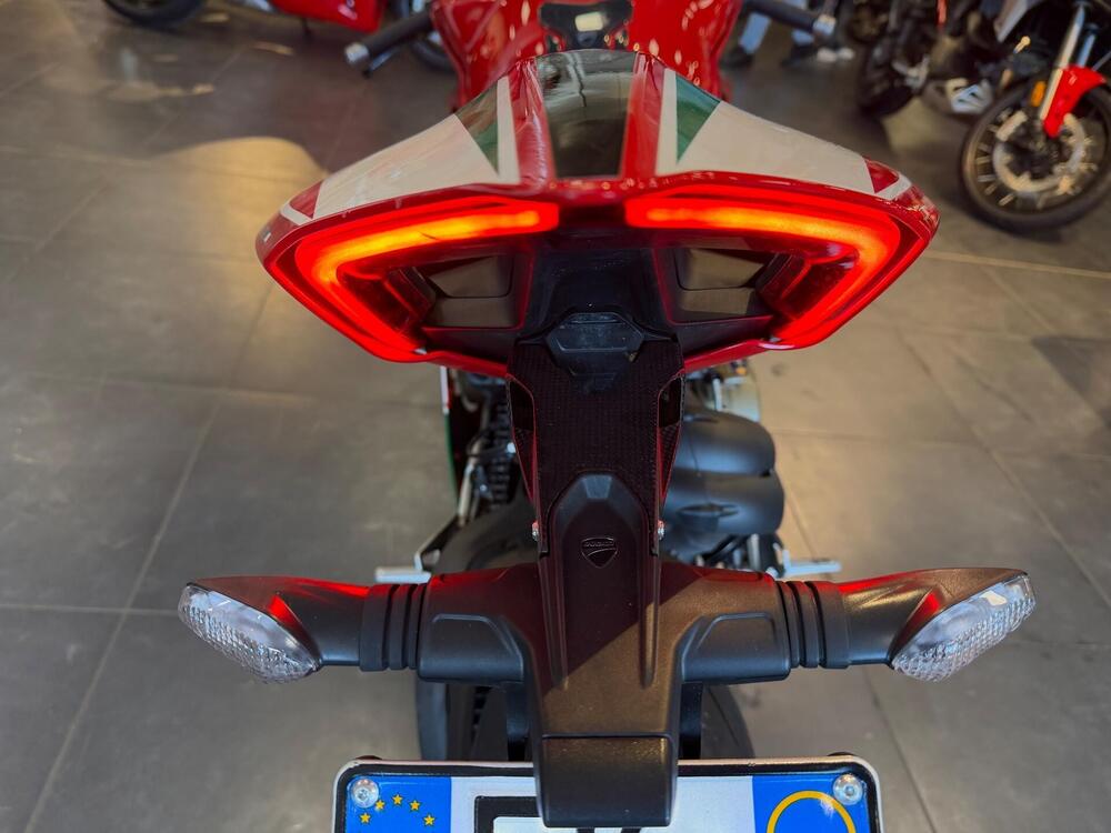 Ducati Panigale V4 S 1100 (2018 - 19) (17)