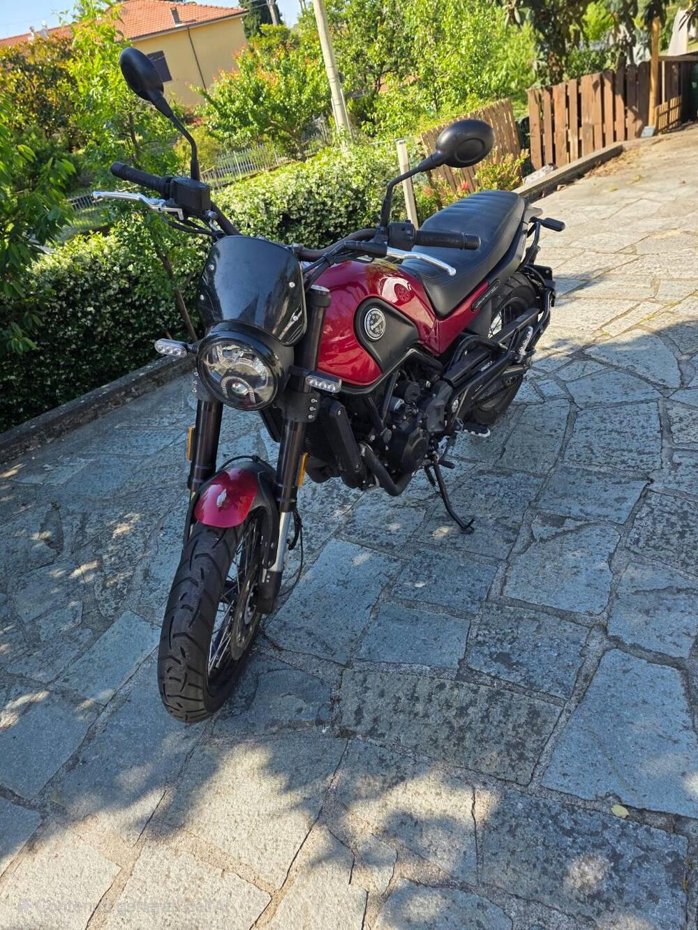 Benelli Leoncino 500 Trail (2021 - 26) (6)