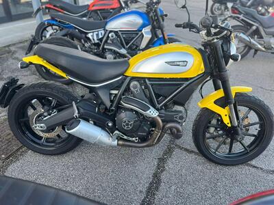 Ducati Scrambler 800 Icon (2015 - 16) usata