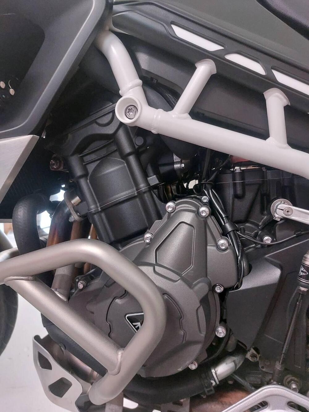 Triumph Tiger 900 Rally Pro (2020 - 23) (5)