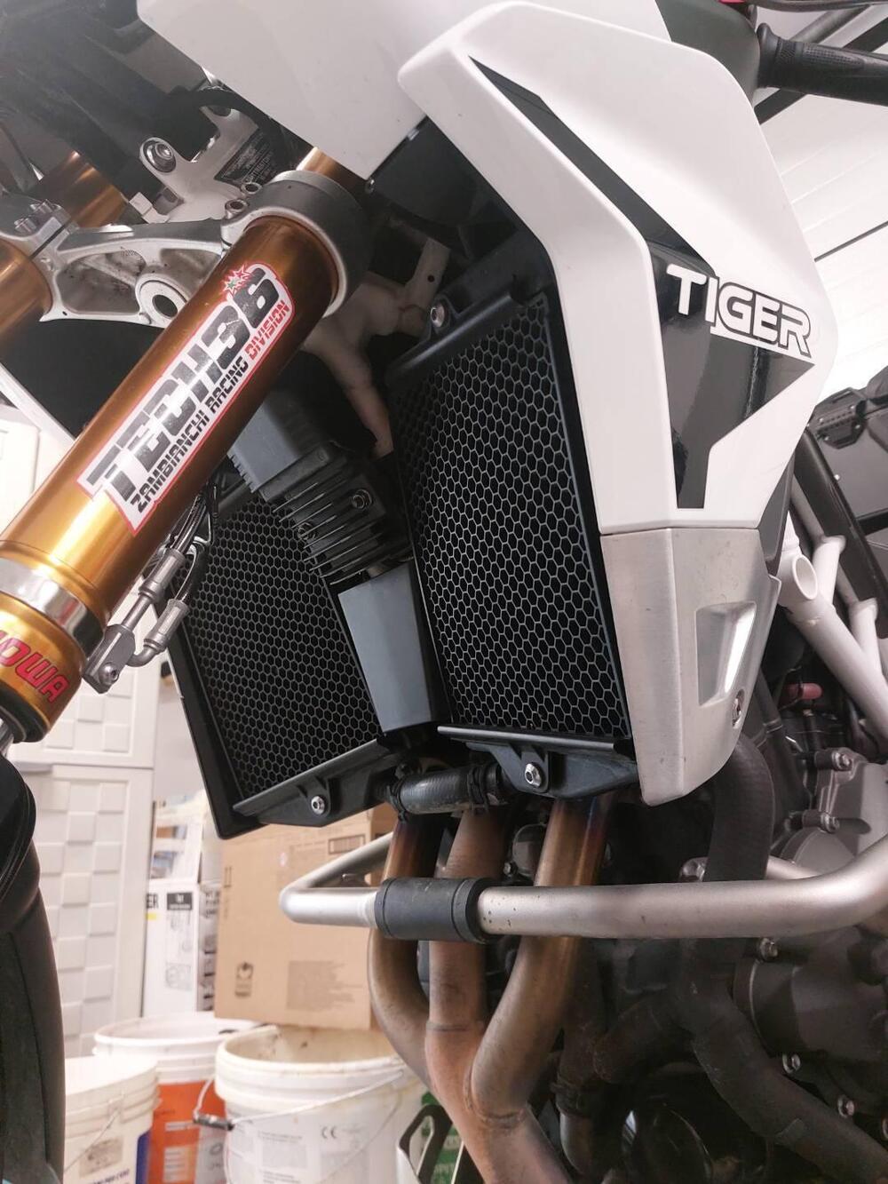 Triumph Tiger 900 Rally Pro (2020 - 23) (6)