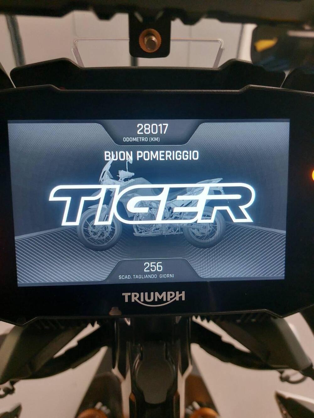 Triumph Tiger 900 Rally Pro (2020 - 23) (10)