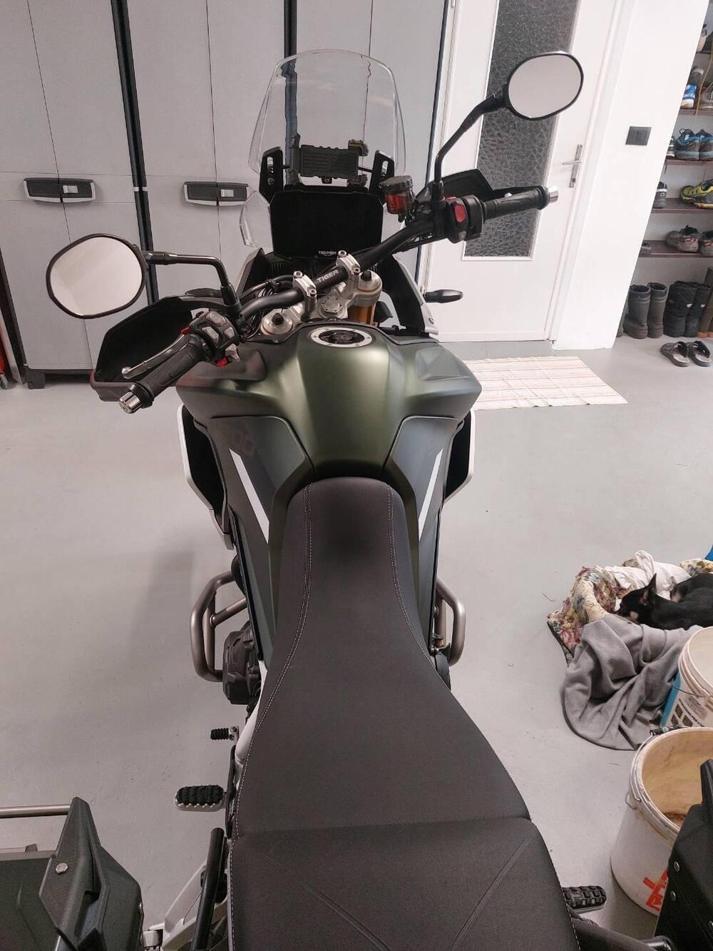 Triumph Tiger 900 Rally Pro (2020 - 23) (11)