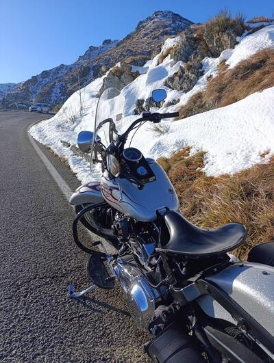 Harley-Davidson 1450 Heritage Springer Classic (2005 - 07) - FLSTSC usata