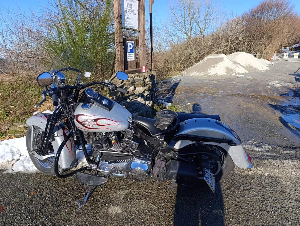 Harley-Davidson 1450 Heritage Springer Classic (2005 - 07) - FLSTSC (3)