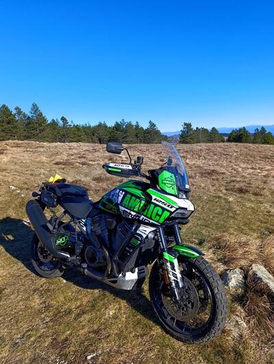 Harley-Davidson Pan America 1250 Special (2020 - 25) usata