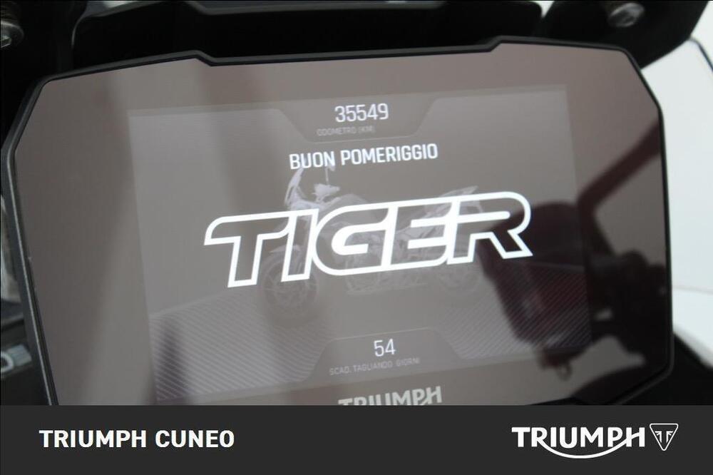 Triumph Tiger 900 Rally Pro (2020 - 23) (7)