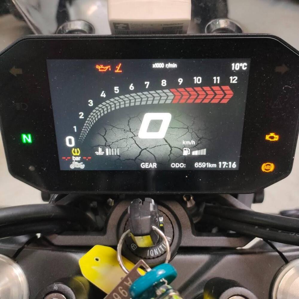 Voge Trofeo 525ACX Scrambler (2023 - 26) (3)