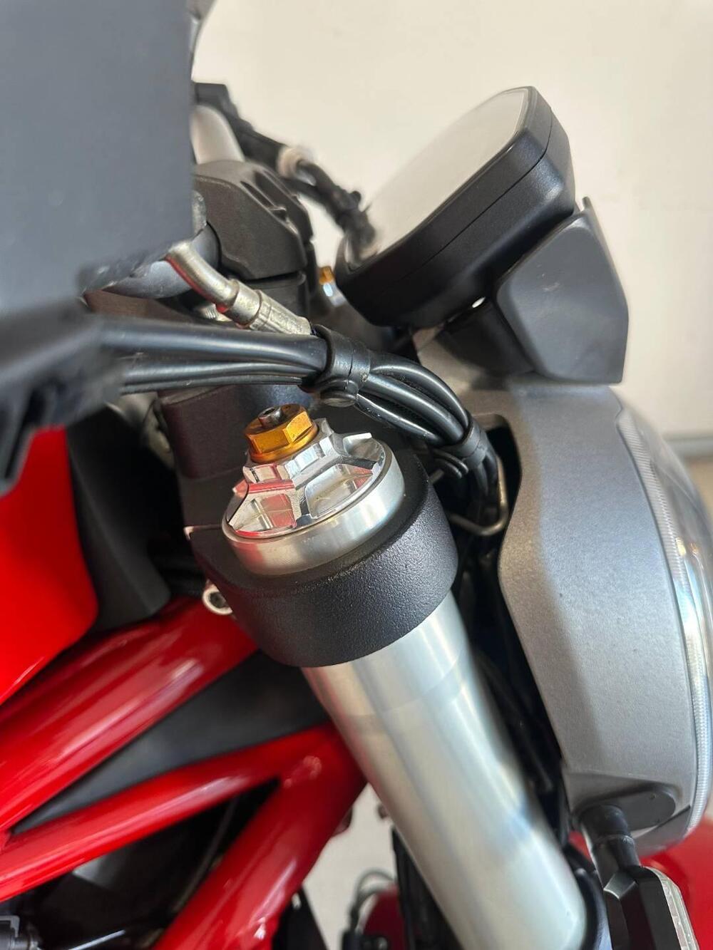 Ducati Monster 821 ABS (2014 - 17) (4)