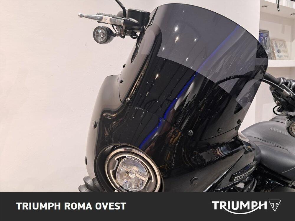 Harley-Davidson Street Bob 117 (2025 - 26) (14)