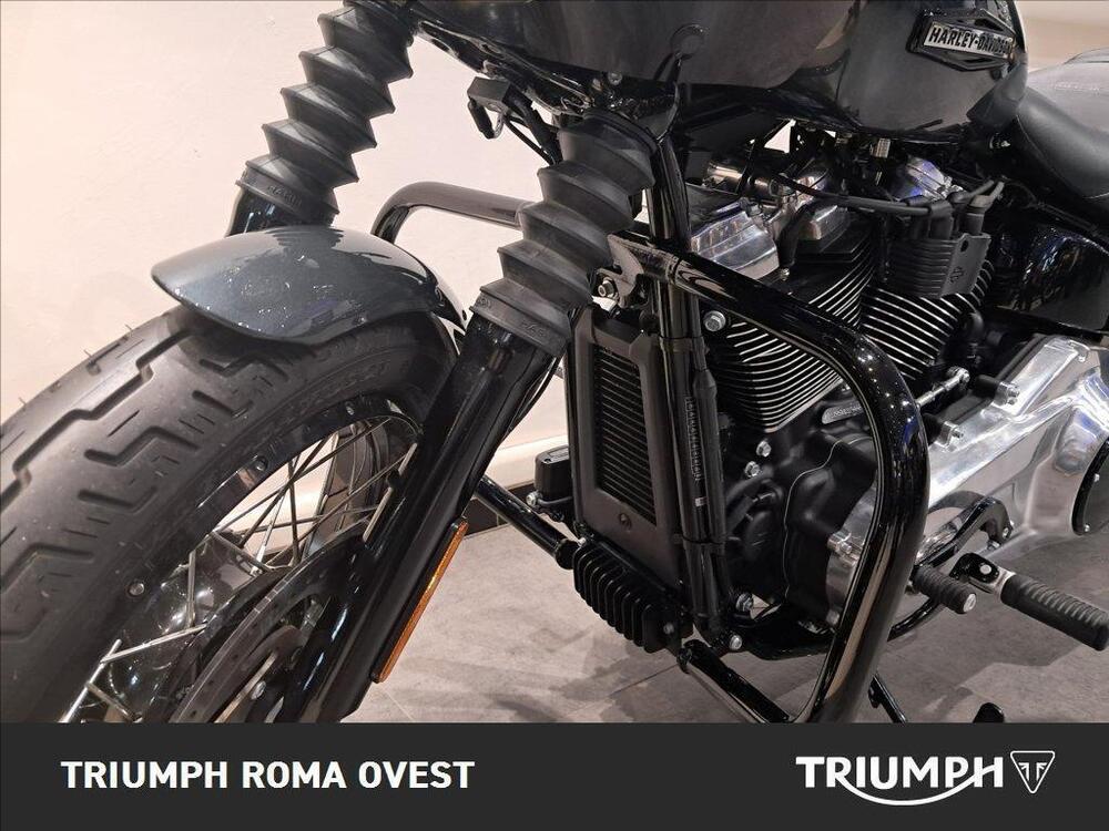 Harley-Davidson Street Bob 117 (2025 - 26) (15)