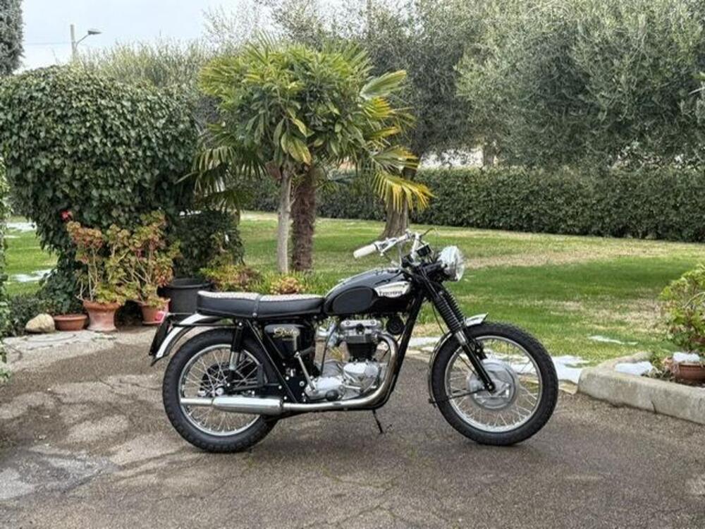 Triumph  Bonneville t120r America 1967 (9)
