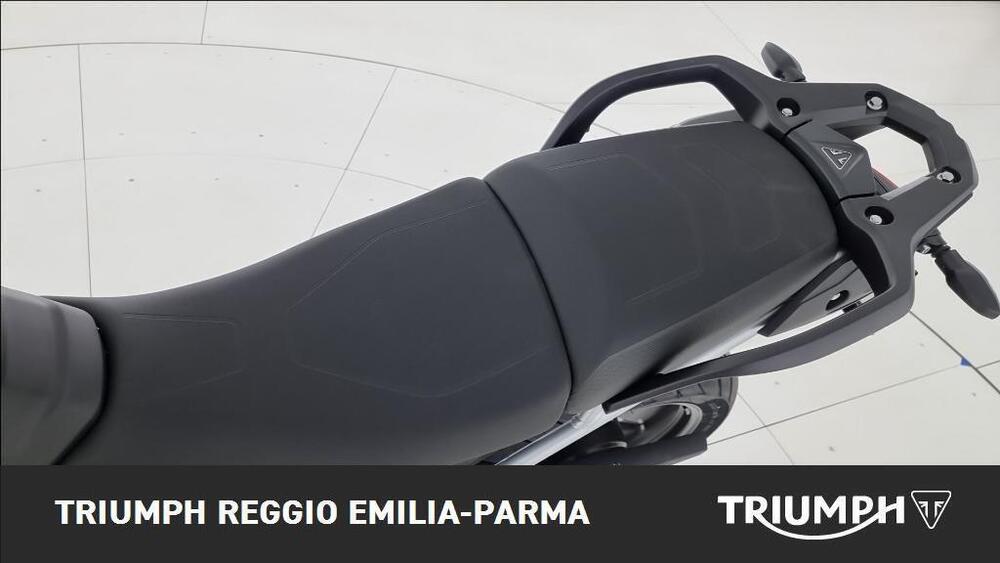 Triumph Tiger 900 Alpine Special Edition (2026) (14)