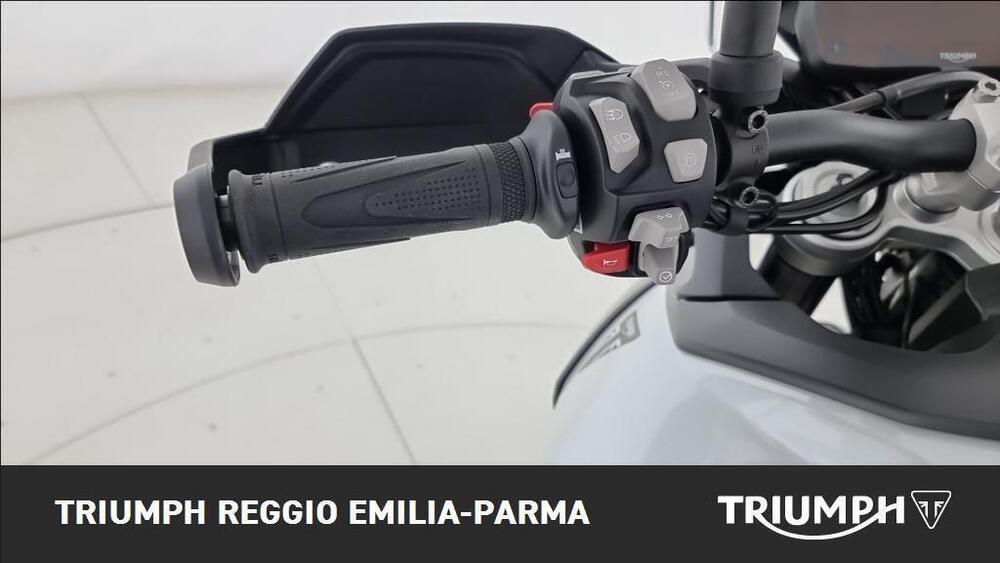 Triumph Tiger 900 Alpine Special Edition (2026) (10)