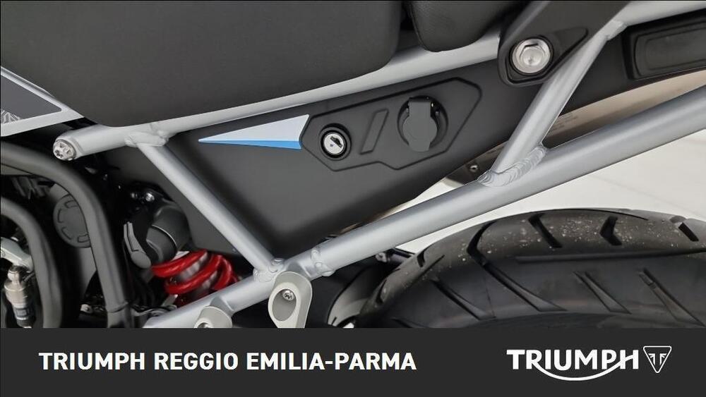 Triumph Tiger 900 Alpine Special Edition (2026) (12)