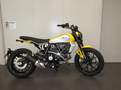 Ducati Scrambler 800 Icon (2025 - 26) nuova