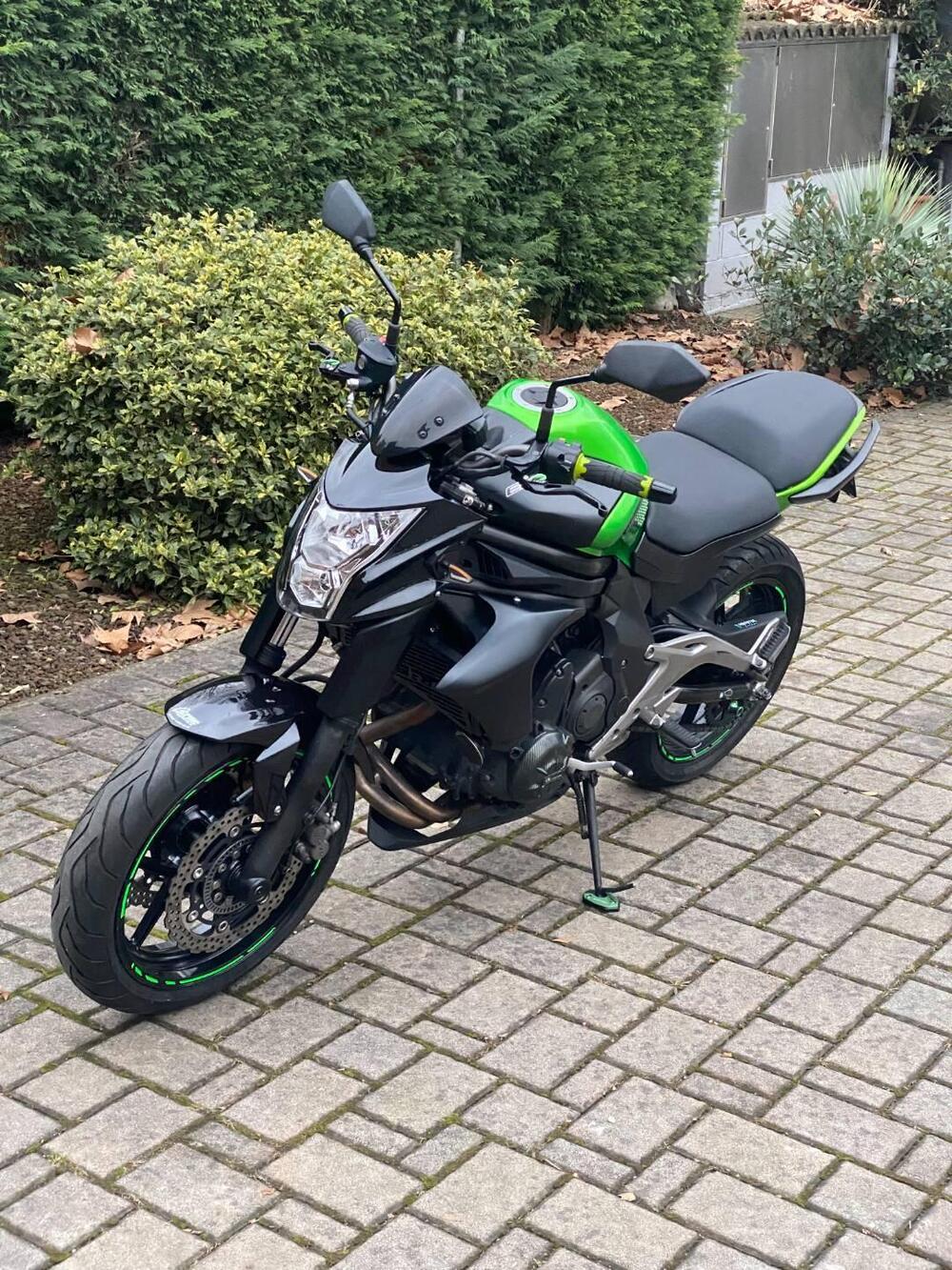 Kawasaki ER-6N (2012 - 13) (3)