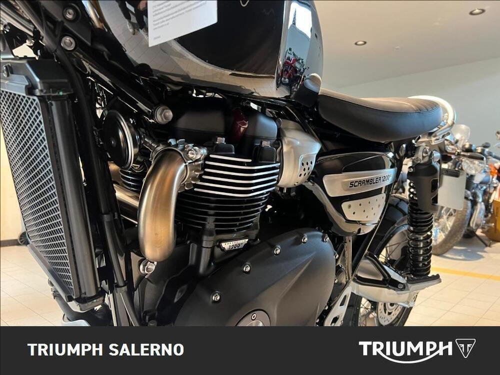 Triumph Scrambler 1200 XE (2024 - 25) (4)