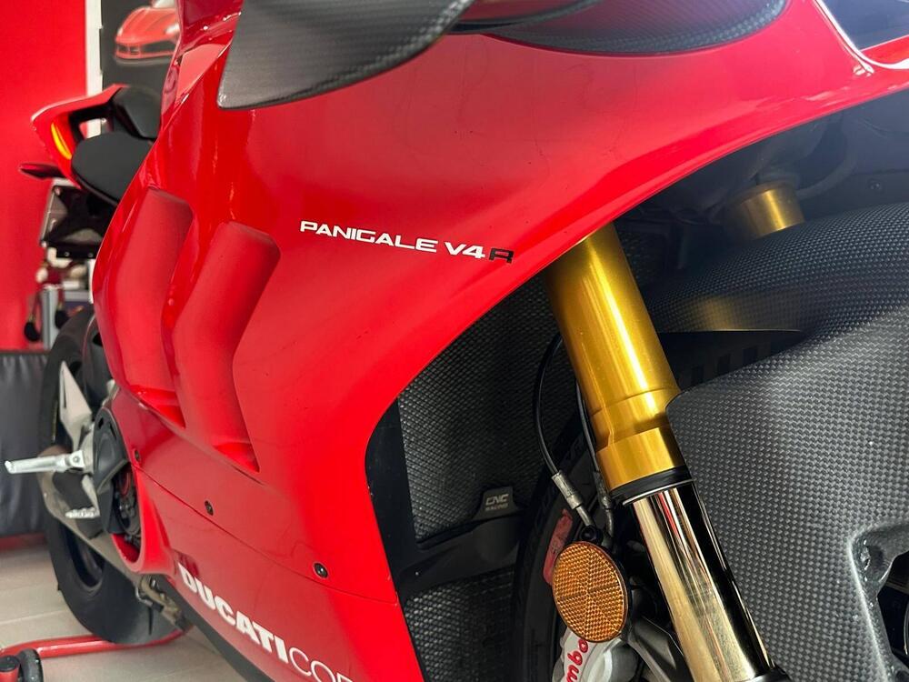 Ducati Panigale V4 R 1000 (2019 - 20) (4)