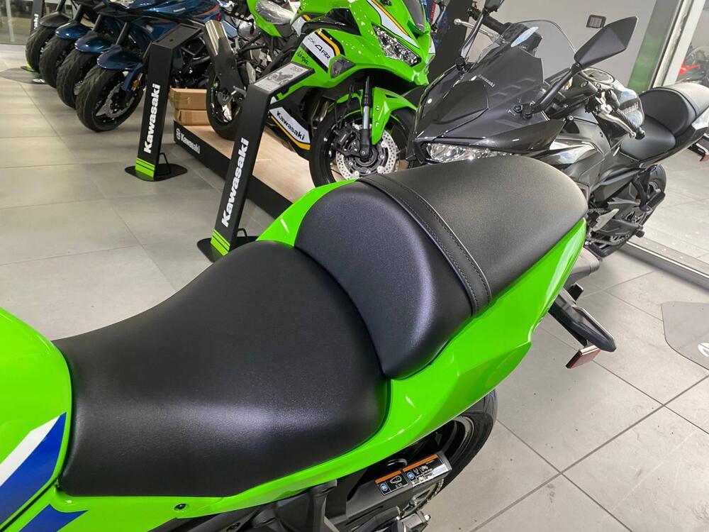 Kawasaki Ninja 650 (2025 - 26) (10)