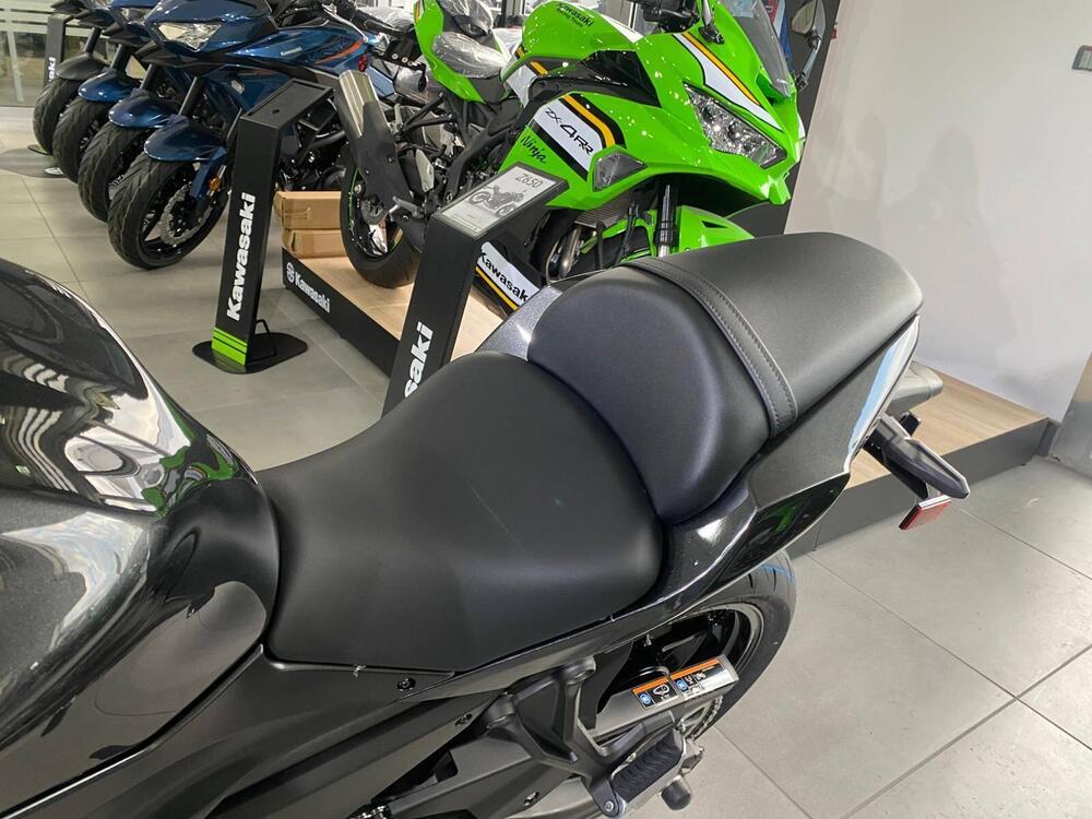 Kawasaki Ninja 650 (2025 - 26) (9)