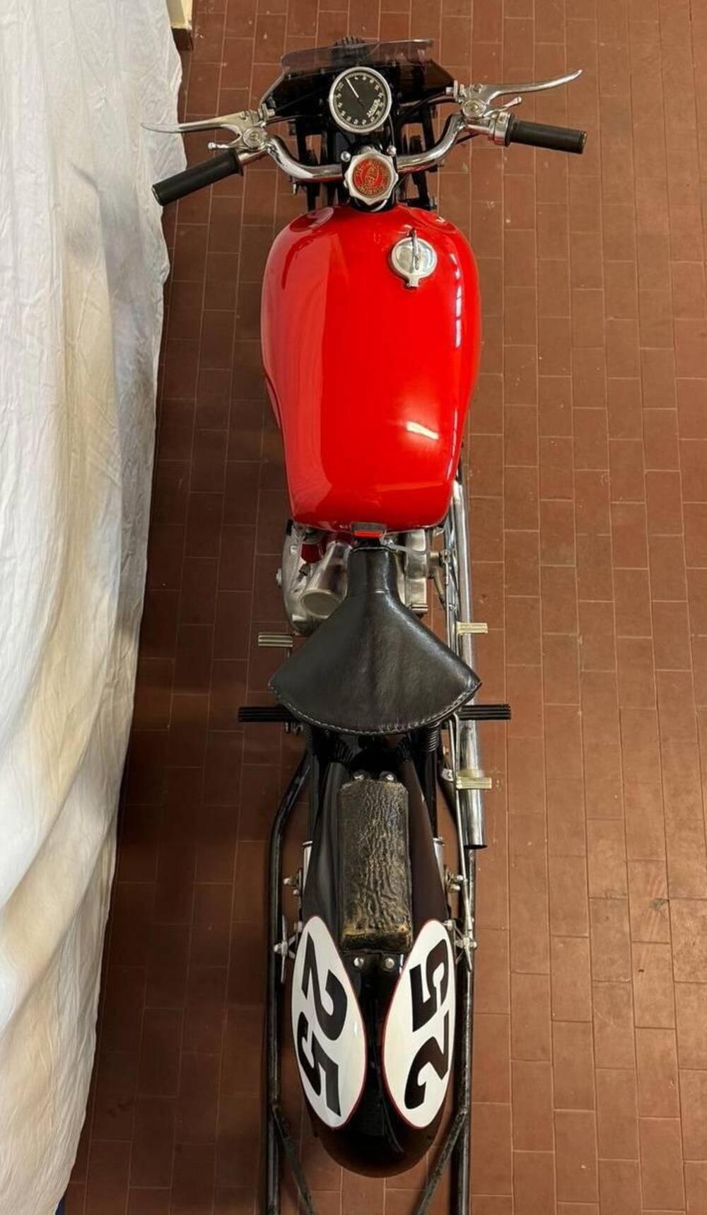 Gilera Saturno Sanremo (4)