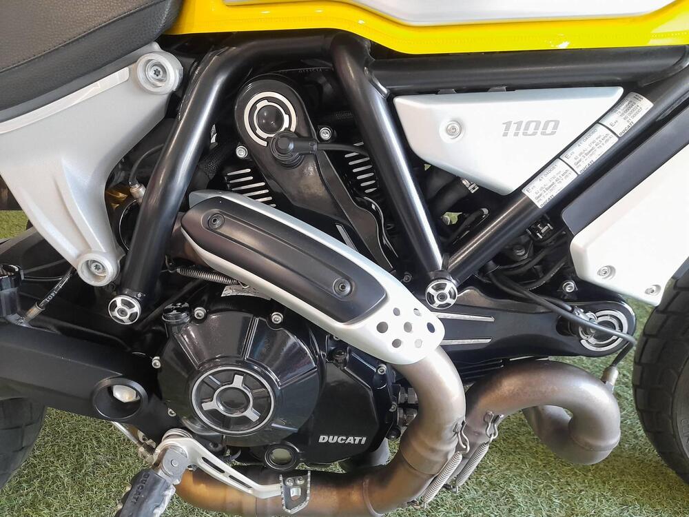 Ducati Scrambler 1100 (2018 - 20) (7)