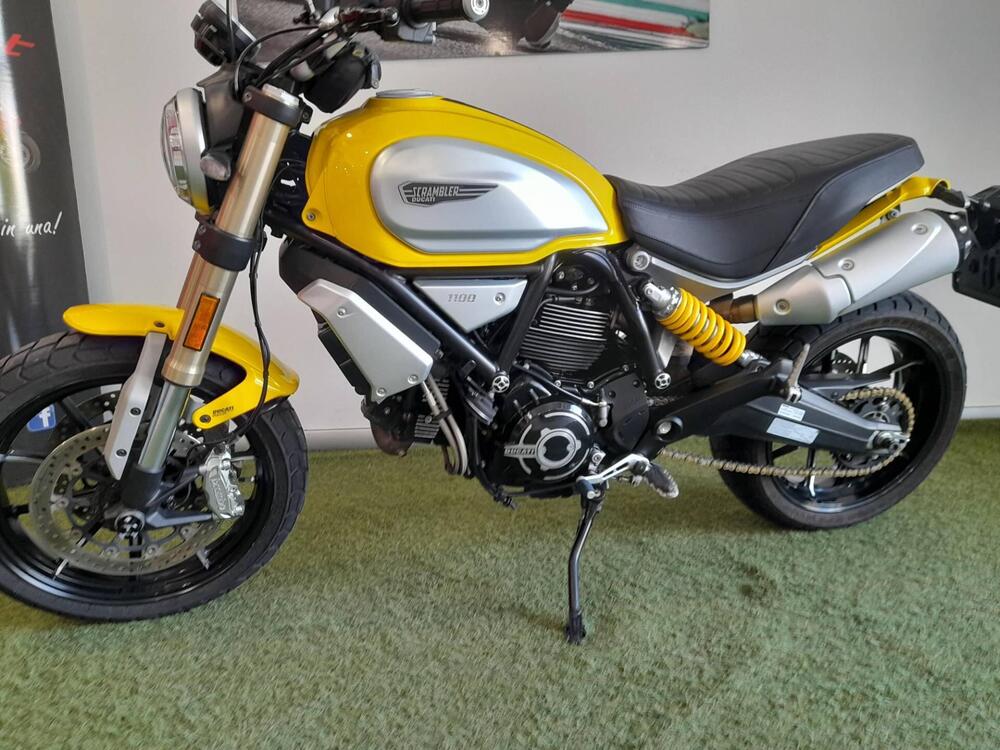 Ducati Scrambler 1100 (2018 - 20) (2)