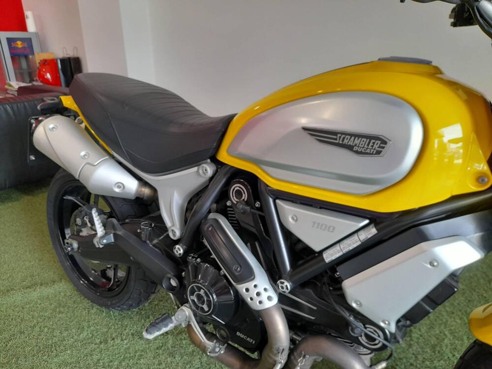 Ducati Scrambler 1100 (2018 - 20) (4)