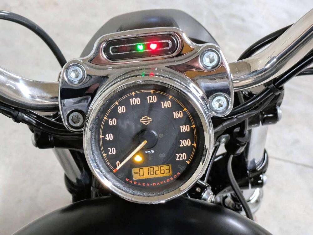 Harley-Davidson 1200 Custom (2018 - 20) - XL1200C (15)