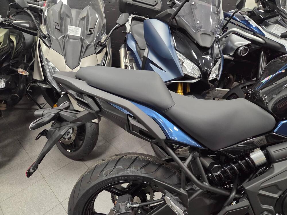 Kawasaki Versys 650 (2025 - 26) (2)