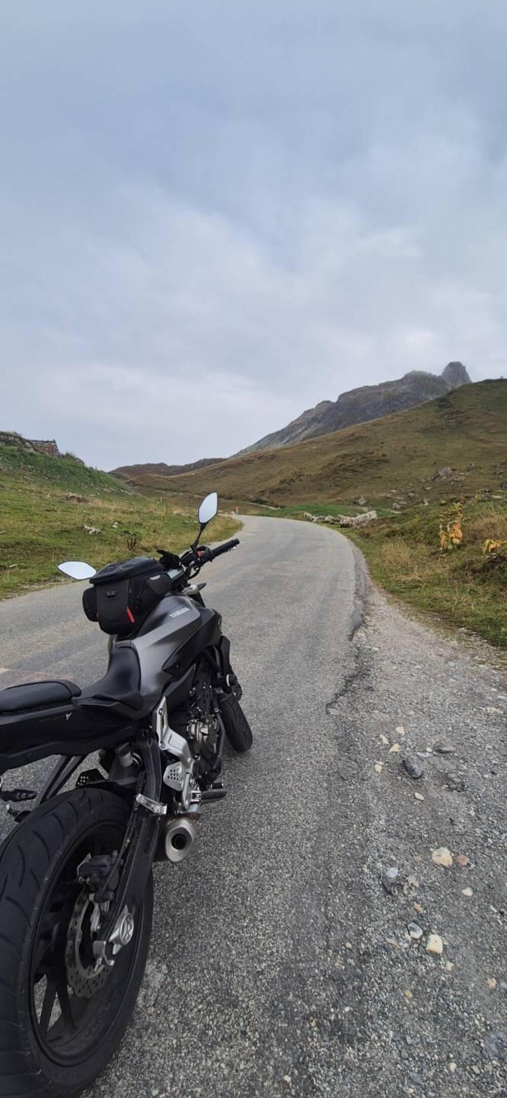 Yamaha MT-07 ABS (2014 - 16) (6)