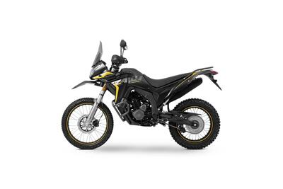 Voge Valico 300 Rally (2022 - 26) nuova