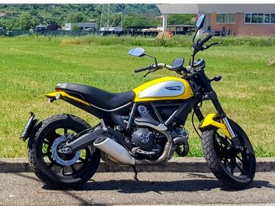Ducati Scrambler 800 Icon (2015 - 16) usata