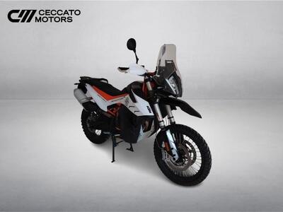 KTM 790 Adventure R (2019 - 20) usata