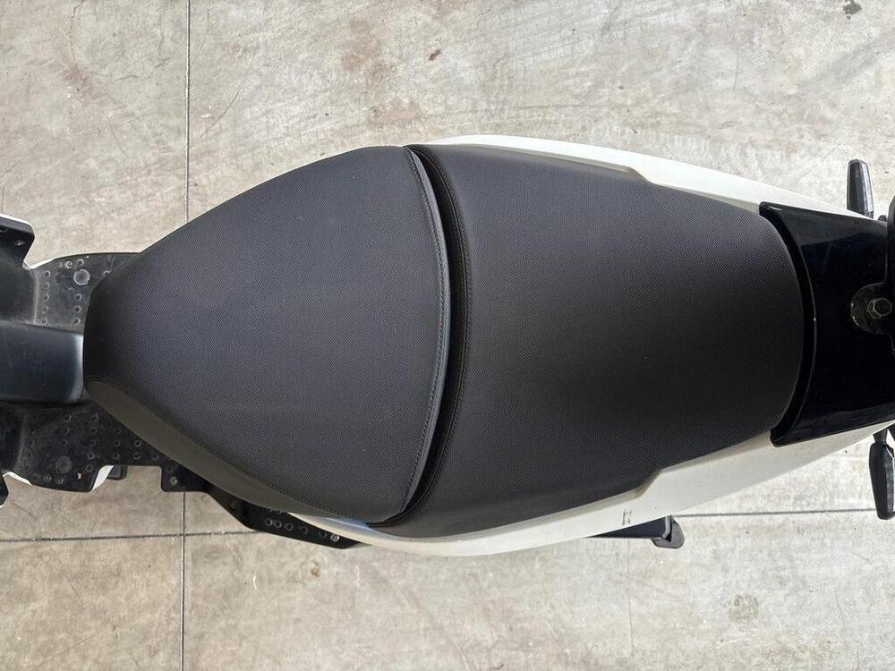 Ray 7.7 (2023 - 24) (9)