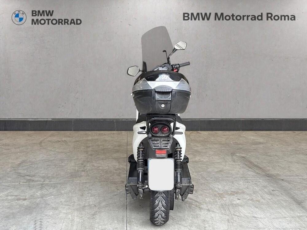 Ray 7.7 (2023 - 24) (4)