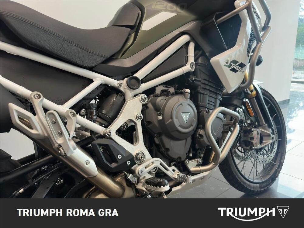 Triumph Tiger 1200 Rally Pro (2022 - 23) (6)