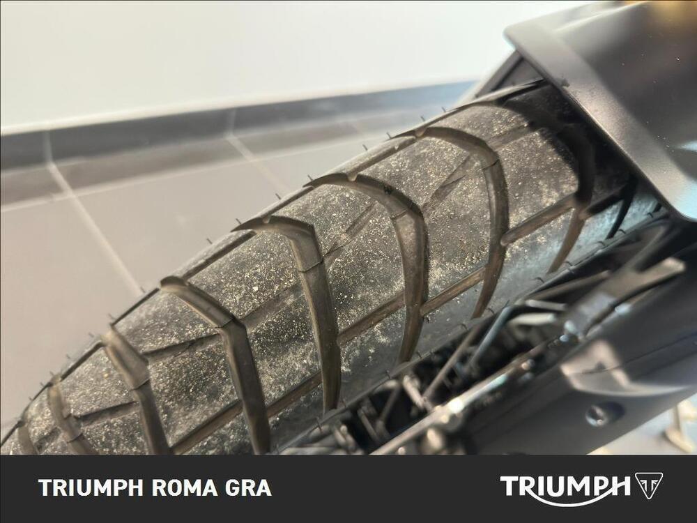 Triumph Tiger 1200 Rally Pro (2022 - 23) (9)